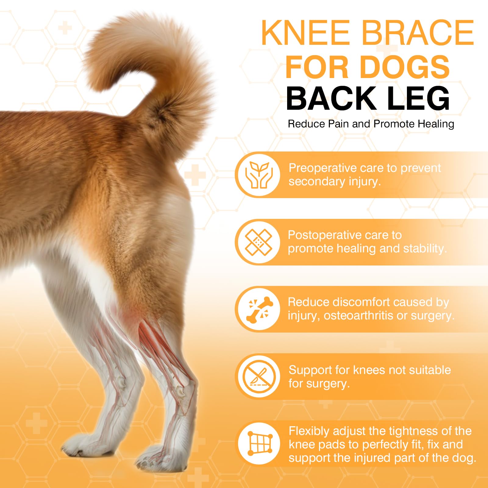 Dog Knee Brace Dog ACL Brace Hind Leg Dog Knee Brace for Torn ACL Hind Leg with Side Stabilizer ACL Brace for Dogs Pain Relief Dog ACL Knee Brace Extra Support Treats Kneecap Dislocation Arthritis-L