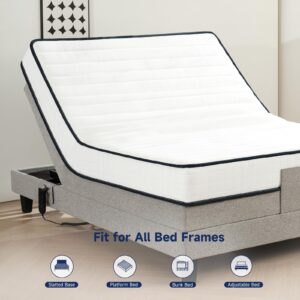 Z-hom Twin Mattress 8 Inch, Twin Size Mattresses Hybrid Innerspring Mattress in a Box, Twin Foam Spring Mattress with Motion Isolation & Pressure Relief for Twin Bed Frames, Medium Soft, White