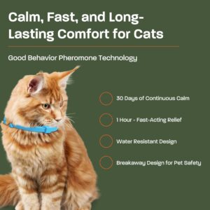 6 Pack Calming Collar for Cats - Calming Cat Collar, Cat Pheromone Collar, Cat Calming Collar for Anxiety - Efficient Relieve Reduce Stress Relief for Cats, Ideal for Meowing and Anxiety Reduction