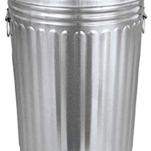 Plexon Pre-Galvanized Trash Can with Lid Round, Steel, 20gal, Grey, Outdoor Garbage Can., 45520GALLONWLID