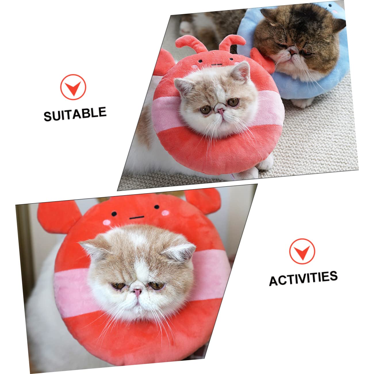 DOITOOL 3 Pcs Elizabeth Circle Puppy Healing Cone Dog Surgery Collar Cute Toast Neck Cone Cloth Pet Collar Cat Collar Kitten Collars Pet Protective Collar Pp Cotton Lampshade Inflatable