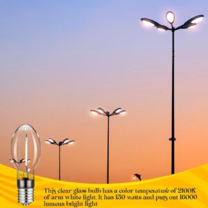 Rossesay LU150/MOG 150 Watt High Pressure Sodium Light Bulb, Mogul Base (E39) Light Bulb, ANSI Code S55, 2100K Outdoor Street Light Bulb, 20000 Life Hours,16000 Lumen