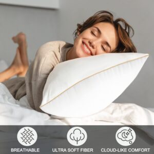 Pillows Queen Size Set of 2, Luxury Hotel Quality Pillows, Premium Soft Down Alternative Pillows for Bed, Comfortable and Supportive Pillows for Back, Stomach or Side Sleepers