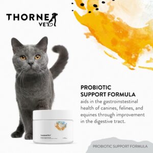 ThorneVET Probiotic Support Formula – Gastrointestinal Support for Dogs, Cats & Horses, Powder, Natural