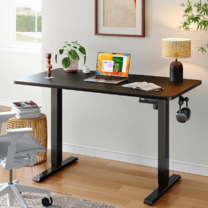 ErGear Whole Piece Standing Desk, 40x24 inch Adjustable Stand Up Desk with Cable Management Tray, Electric Computer Desk Workstation for Home Office, Black, EGESD63B