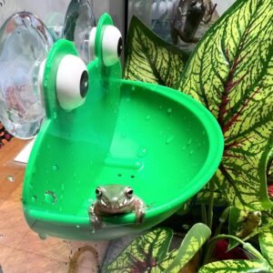 OWMOSYX Frog Habitat with Suction Cup, 2 Pcs Cute Fish Tank Accessories Frog Dish Holder Frog Decor Frog Terrarium Decor for Tree Frog Toad Tadpole, Plastic, Green