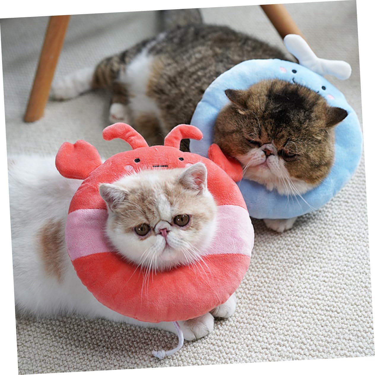 DOITOOL 3 Pcs Elizabeth Circle Puppy Healing Cone Dog Surgery Collar Cute Toast Neck Cone Cloth Pet Collar Cat Collar Kitten Collars Pet Protective Collar Pp Cotton Lampshade Inflatable