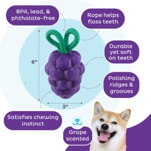 Outward Hound by Planet Dog Dental Grapes Dental Chew Toy and Interactive Treat Stuffer Durable Dog Toy Stuffable Dog Toy, Medium, Purple