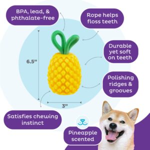 Outward Hound by Planet Dog Dental Pineapple Dental Chew Toy and Interactive Treat Stuffer Durable Dog Toy Stuffable Dog Toy, Yellow