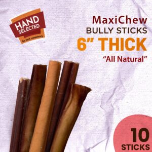 MaxiChew Odor-Free Bully Sticks(6 Inch, Pack of 10), Non-GMO, Fully Digestaible 100% Beef Pizzle Chews, Grain_Free, Grass-Fed, Best Dental Treat, Natural Long-Lasting, Premium Chews for Dogs