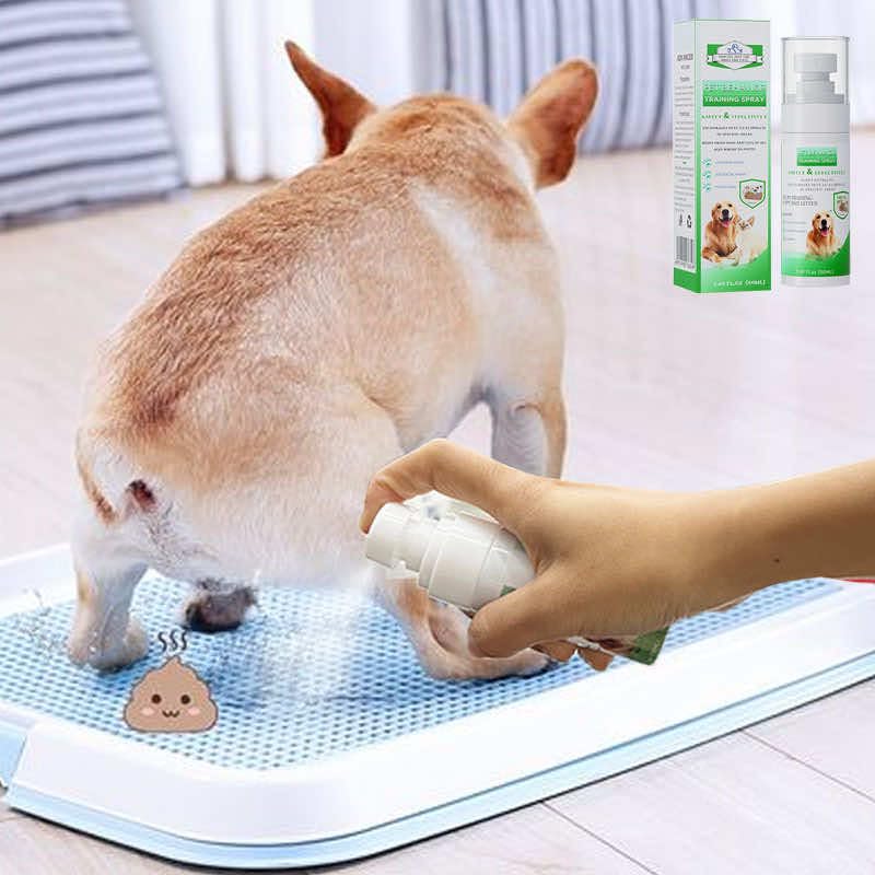 Petstoral Pet Potty Training Spray for Dogs & Cats - Puppy Essentials, Dog Training & Behavior Aids. My Pet Peed - Prevent Your Pet from Soiling The Carpet - 1.69 Oz