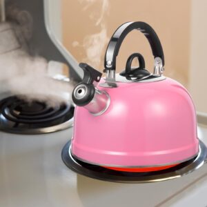 MAGICLULU Buzzing Kettle Heating Pot Whistling Teapot Whistling Water Kettle Teapot for Stovetop Mini Tea Kettle Tea Kettle Top Chinese Teapot Sound Pot Spherical Stainless Steel 7.9 x 7.3Inch