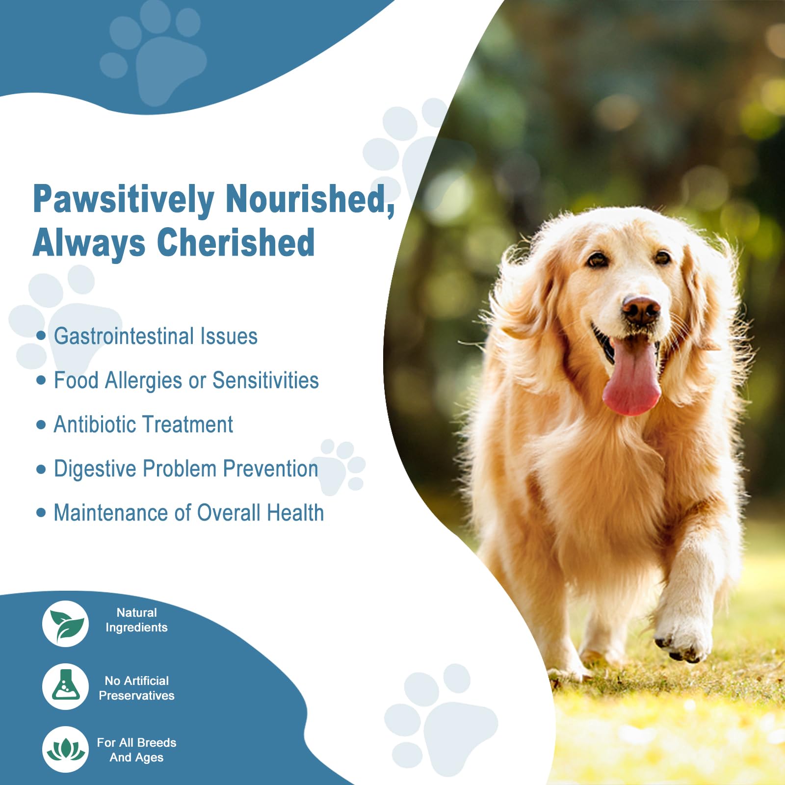 Allyeah Probiotics for Dogs, Dog Probiotics for Yeast Infection, Itchy Skin and Itchy Ears, Gut Health for Dogs Pet Probiotics Chews Diarrhea Treatment Enzymes Treats Digestive Health Stomach Relief