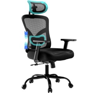 HUANUO Ergonomic Office Chair, High Back Desk Chair with S-Shaped Backrest, Adjustable Lumbar Support, Headrest, Armrest, Mesh Computer Chair with Thicker Seat Cushion and Tilt Function, Black