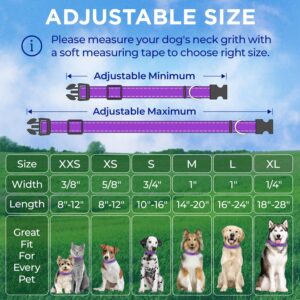 TECEUM Reflective Pet Collar – Purple – M – Extra Soft Padding – Basic Nylon Dog Collar – Quick Release Buckle – Fits Small, Medium and Large Dogs, Puppies, Cats – ESA & Service Dog Options