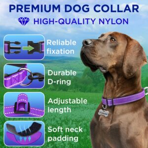 TECEUM Reflective Pet Collar – Purple – M – Extra Soft Padding – Basic Nylon Dog Collar – Quick Release Buckle – Fits Small, Medium and Large Dogs, Puppies, Cats – ESA & Service Dog Options