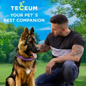 TECEUM Reflective Pet Collar – Purple – M – Extra Soft Padding – Basic Nylon Dog Collar – Quick Release Buckle – Fits Small, Medium and Large Dogs, Puppies, Cats – ESA & Service Dog Options