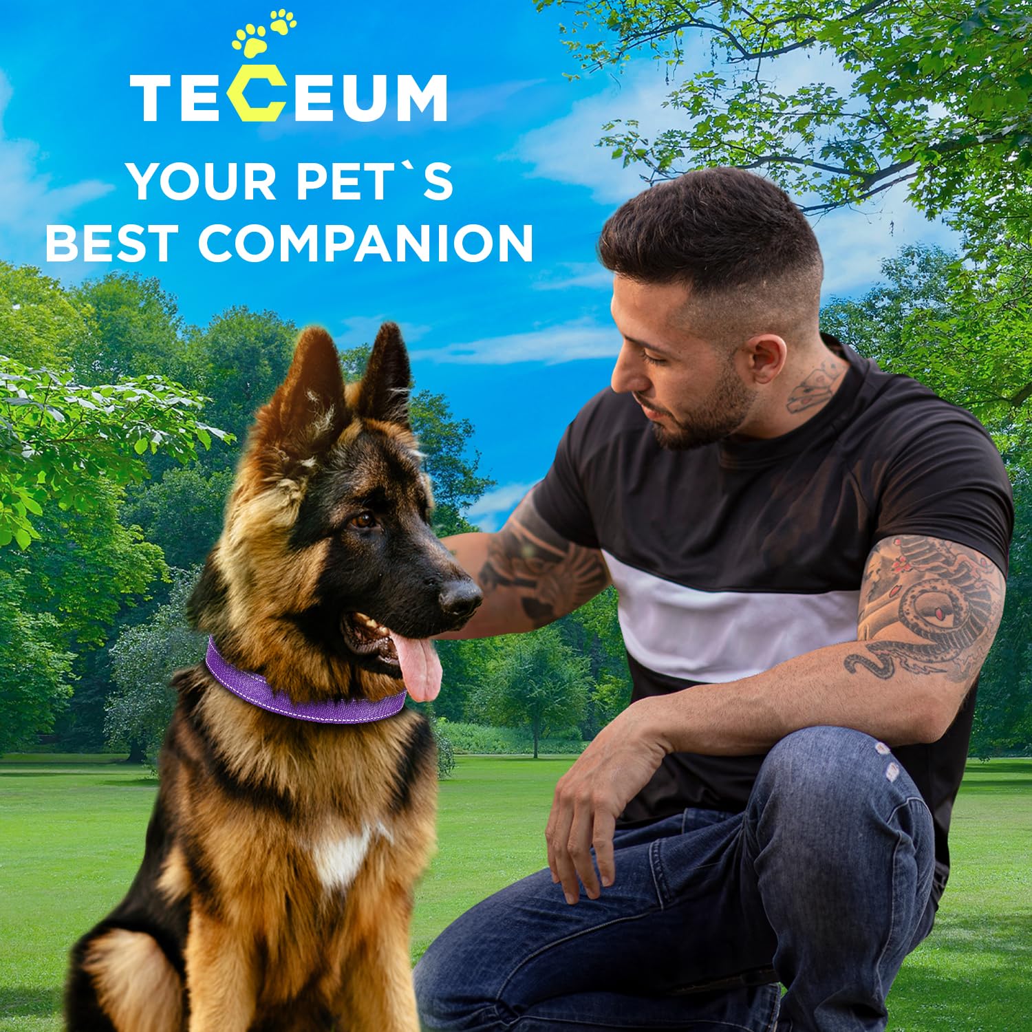 TECEUM Reflective Pet Collar – Purple – M – Extra Soft Padding – Basic Nylon Dog Collar – Quick Release Buckle – Fits Small, Medium and Large Dogs, Puppies, Cats – ESA & Service Dog Options