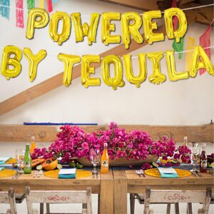 Wonmelody Margarita Birthday Party Decorations Powered by Tequila Balloon Banner Margs and Matrimony Bachelorette Decor Lemon Balloon Gimme One Magrarita Balloon Mexican Fiesta Bridal Shower Decor