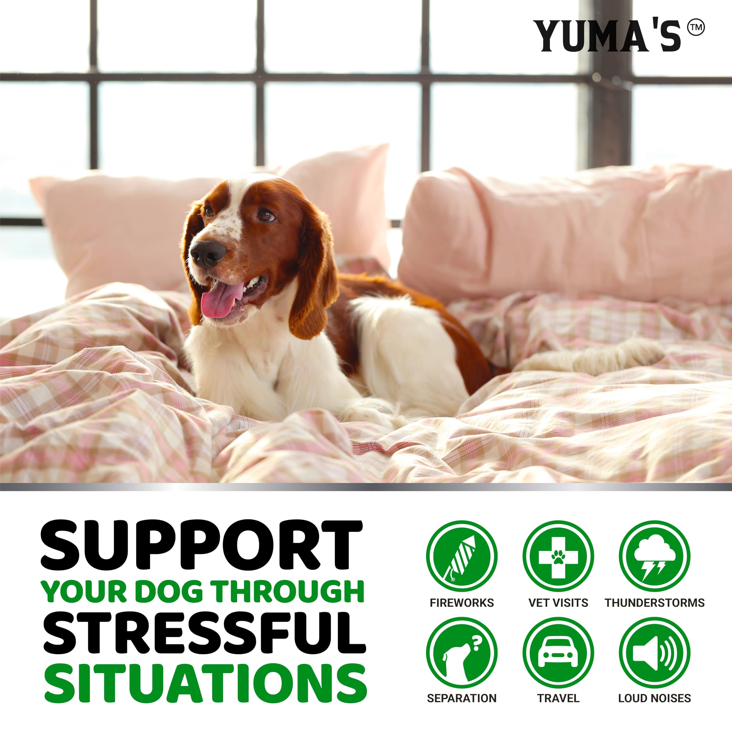 YUMA'S Hemp Calming Chews for Dogs - Advanced Dog Calming Treats - Dog Calming Chews - 170 Chews - Anxiety Relief Treats - Separation Aid, Barking, Stress Relief, Thunderstorms - Melatonin - Hemp Oil