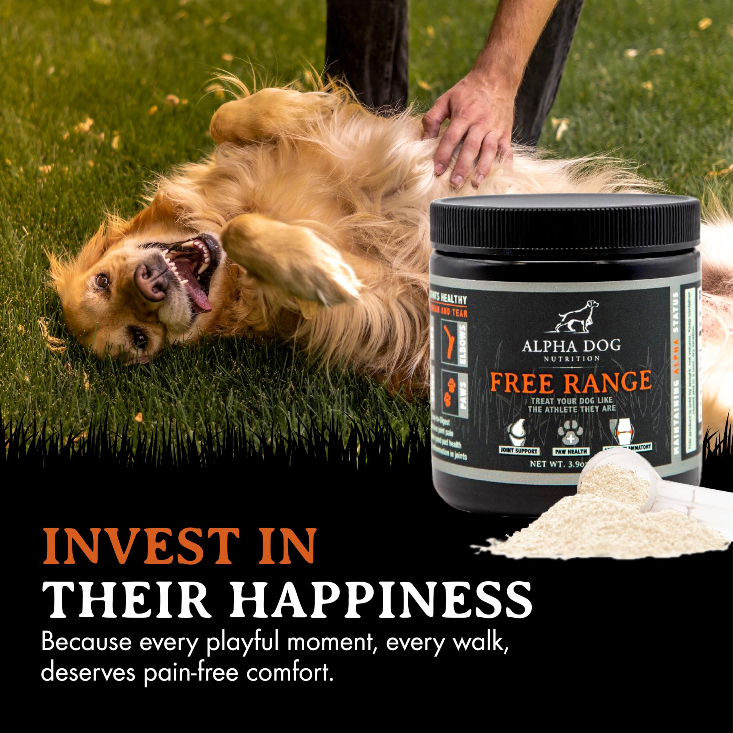 Free Range Joint Health Enhancer Supplement Powder for Dogs by Alpha Dog Nutrition - Premium Dog Arthritis Vitamins to Care for Joints - Contains Glucosamine, Chondroitin, MSM, Vitamin E, & More