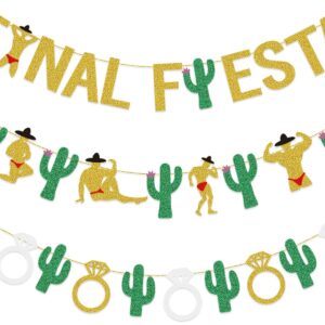 Final Fiesta Bachelorette Party Decorations Final Fiesta Banner Gold Glitter Bridal Shower Party Mexican Fiesta Theme Party Decorations Supplies