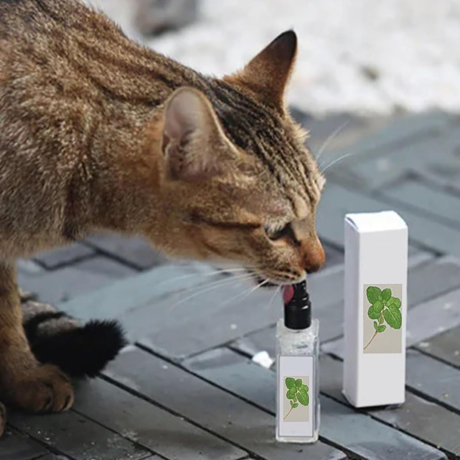 Kitty Joy Herbal Cat Joy, Herbal Cat Joy Spray, Celery Pets Catnip Spray, Catnip Spray for Indoor Cats, Cat Calming Spray, Anti Scratch Cat Spray, Cat Training Spray with Catnip, Cat Nip Spray (1PC)