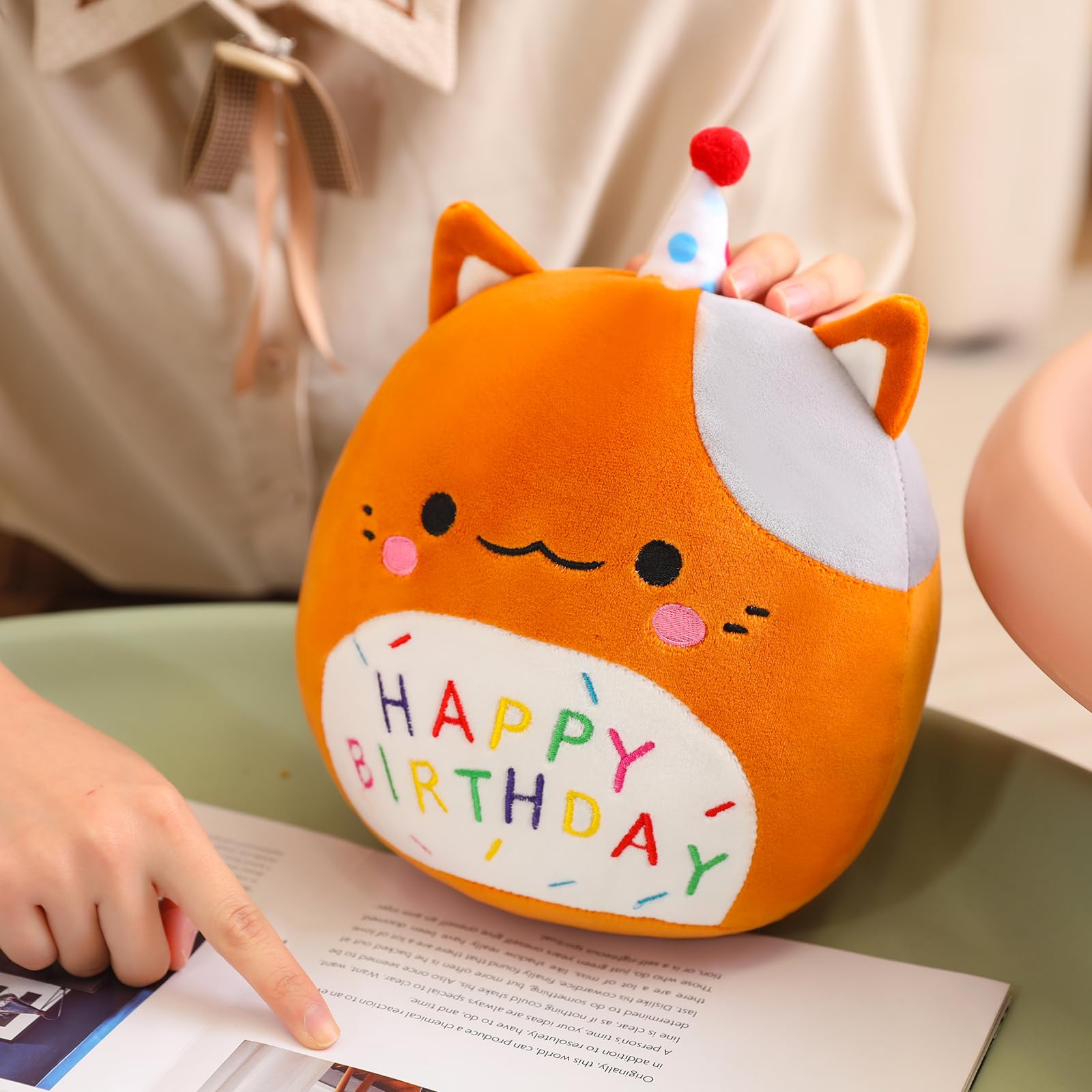 Litence Birthday Cat Plush Pillow Cute Cat Stuffed Animals Toy Kawaii Cat Plushies Doll Gifts for Kids Home Decor, 10inch