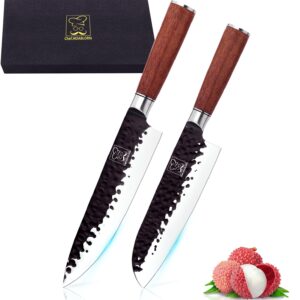 ChefHoablorn Kitchen Knife Set 2 Piece High Carbon Stainless Steel Professional Chef Knife Set with Ultra Sharp Blade