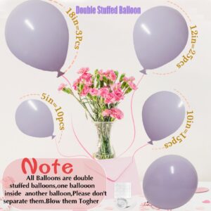 Light Purple Balloons Different Sizes, 18 12 10 5 Inch Double Stuffed Pastel Purple Balloons, Macaron Lavender Purple Balloon Arch for Boho Party, Baby Shower, Birthday, Weddings (Light Purple）