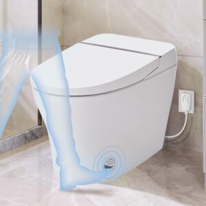 HbasdLH "Smart Bidet Toilet with Adjustable Heated Seat, High-End Compact Dual Flush Toilet 1/1.28 GPF