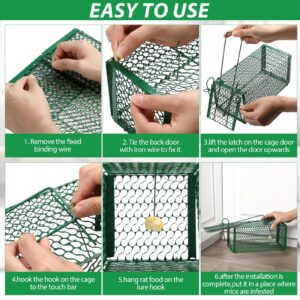 Qualirey 4 Pcs Humane Rat Trap Chipmunk Squirrel Cage Trap Foldable Rodent Trap for Small Live Animal Voles Hamsters Cage Catch and Release for Kitchen Yard Garage Indoors Outdoors (Green)