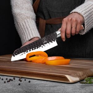 ChefHoablorn Kitchen Knife Set 2 Piece High Carbon Stainless Steel Professional Chef Knife Set with Ultra Sharp Blade