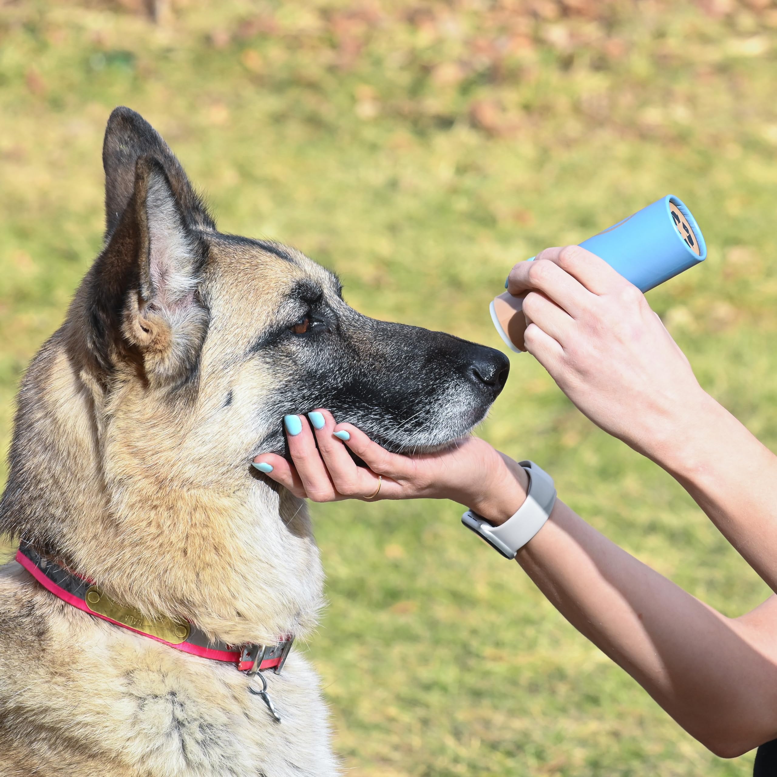 Rhino Wax - Healing Dog Nose Balm 2oz - Natural Snout Soother for Dogs - For Dry, Cracked, Irritated Noses - Dog Nose Butter - Dog Nose Moisturizer - 100% Natural Ingredients - Lick-Safe - Made in USA