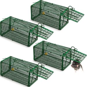 qualirey 4 pcs humane rat trap chipmunk squirrel cage trap foldable rodent trap for small live animal voles hamsters cage catch and release for kitchen yard garage indoors outdoors (green)