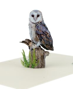 igifts and cards majestic owl 3d pop-up greeting card - 6"x8" enchanting forest whispers gift, fun present for animal and nature lovers, unique ideas for birthday, graduation, housewarming