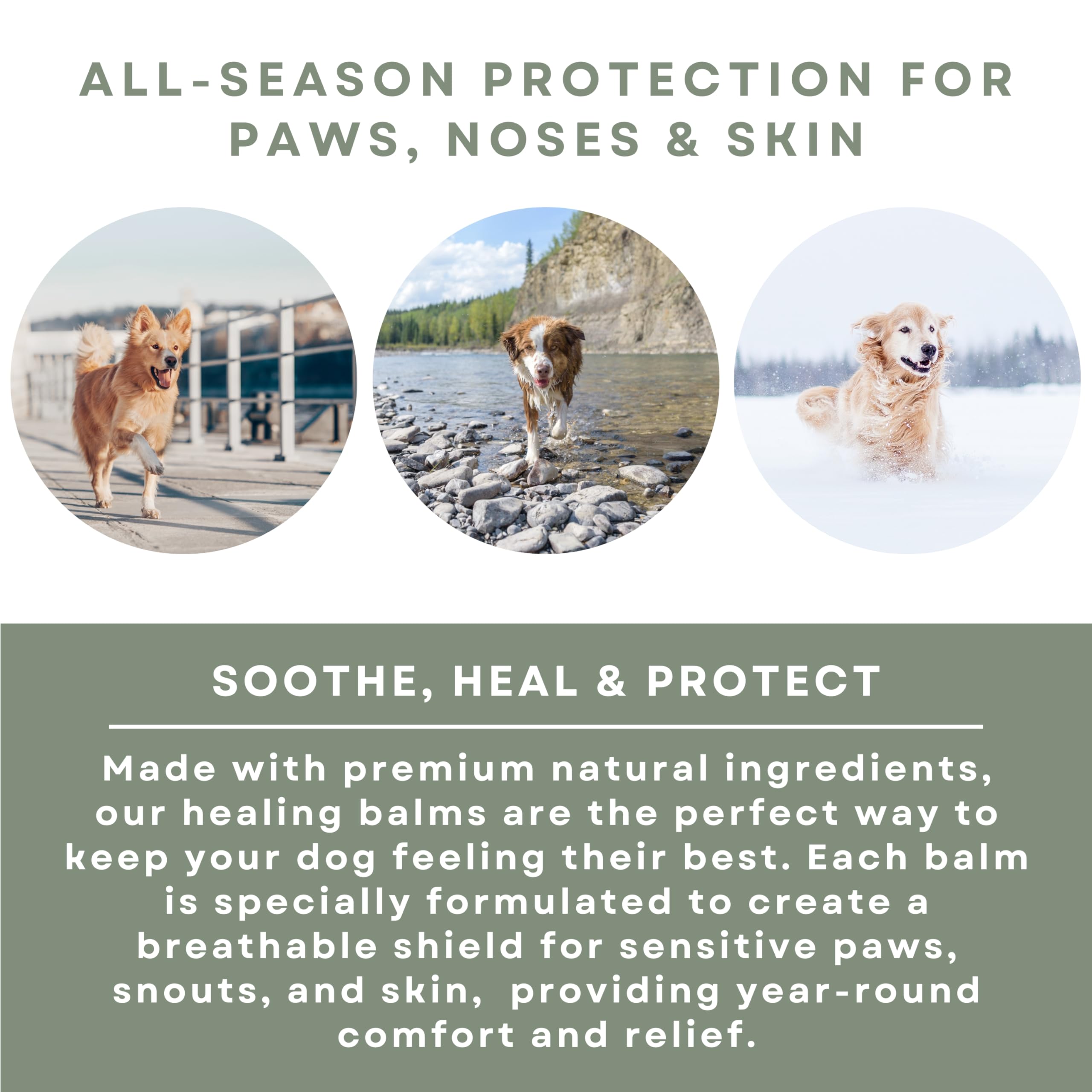 Rhino Wax - Dog Care Kit - Healing Dog Paw Pad Balm + Snout Soother for Dogs + Skin Soother - Relieves Pain, Nourishes and Heals - For Dry, Irritated Paws, Noses and Skin - Lick-Safe - Made in the USA