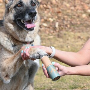 Rhino Wax - Dog Care Kit - Healing Dog Paw Pad Balm + Snout Soother for Dogs + Skin Soother - Relieves Pain, Nourishes and Heals - For Dry, Irritated Paws, Noses and Skin - Lick-Safe - Made in the USA