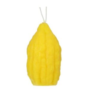 SHALHEVET LIGHT Havdalah Candle - Etrog Shaped | Elegant Jewish Candle for Havdalah | Kosher Wax, Handcrafted Design, Long-Burning | Unique Etrog Candle for Jewish Traditions & Shabbat End