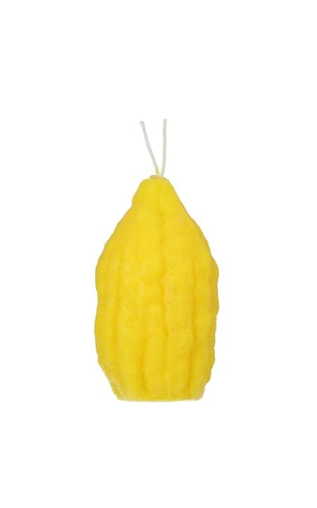 SHALHEVET LIGHT Havdalah Candle - Etrog Shaped | Elegant Jewish Candle for Havdalah | Kosher Wax, Handcrafted Design, Long-Burning | Unique Etrog Candle for Jewish Traditions & Shabbat End