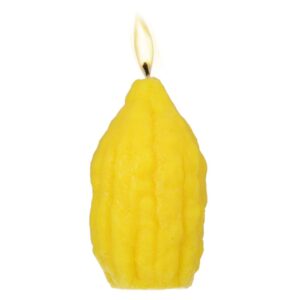 SHALHEVET LIGHT Havdalah Candle - Etrog Shaped | Elegant Jewish Candle for Havdalah | Kosher Wax, Handcrafted Design, Long-Burning | Unique Etrog Candle for Jewish Traditions & Shabbat End