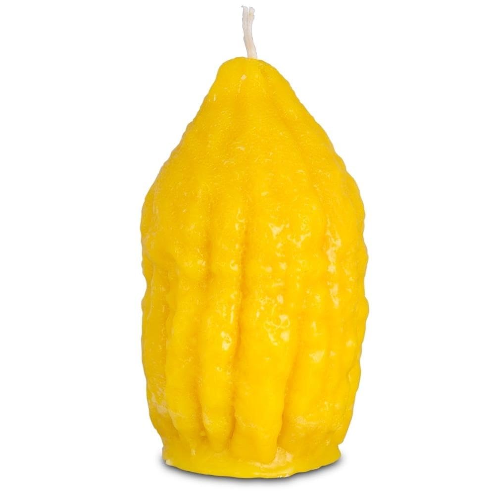 SHALHEVET LIGHT Havdalah Candle - Etrog Shaped | Elegant Jewish Candle for Havdalah | Kosher Wax, Handcrafted Design, Long-Burning | Unique Etrog Candle for Jewish Traditions & Shabbat End