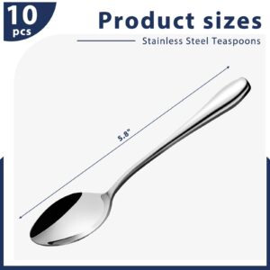 HANSGO Dessert Spoons, Teaspoons Stainless Steel Small Tea Spoons for Kitchen Home Restaurant, 10 PCS 5.8 Inch