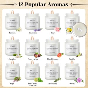 12 Pack Scented Candles Gifts for Women Christmas Gift Aromatherapy Candle Bulk Soy Amber Jar Candles Set Thank You Gifts for Coworker, Stocking Stuffers Holiday Anniversary Present(White)