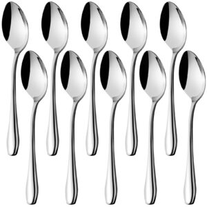 hansgo dessert spoons, teaspoons stainless steel small tea spoons for kitchen home restaurant, 10 pcs 5.8 inch