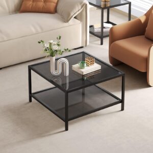 SAYGOER Modern Coffee Table Small Glass Coffee Table with Storage 2-Tier Simple Square Center Table for Living Room Home Office Sofa Table with Metal Frame 26.7 x 26.7 x 15.7 Inches, Gray Black