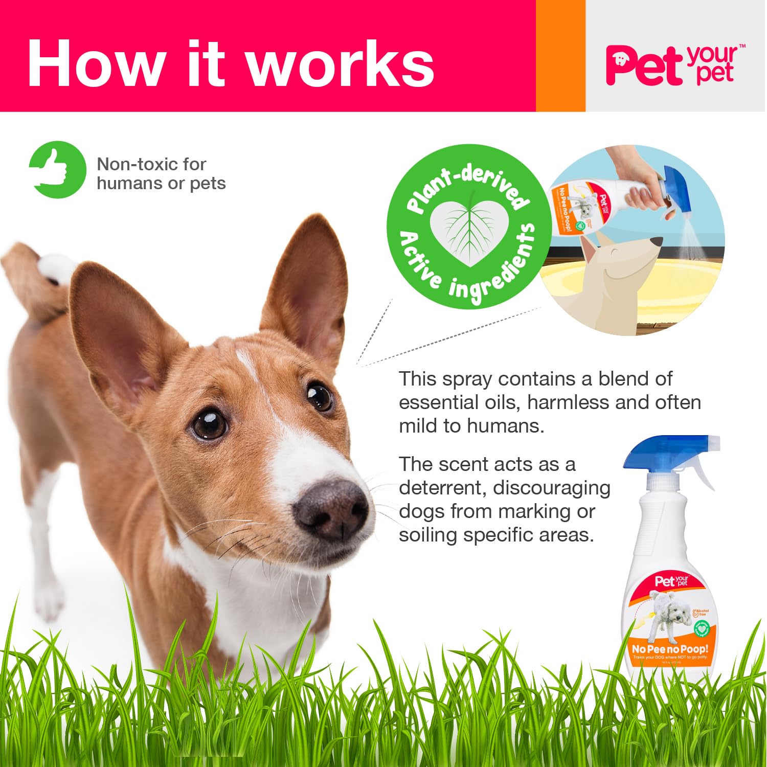 PET YOUR PET No Pee No Poop Dog Potty Training Spray, 16 Fl Oz – Non-Toxic Dog Spray to Prevent Peeing and Pooping – Natural No Marking Scent Spray - Stops Dogs Peeing Indoors/Outdoors