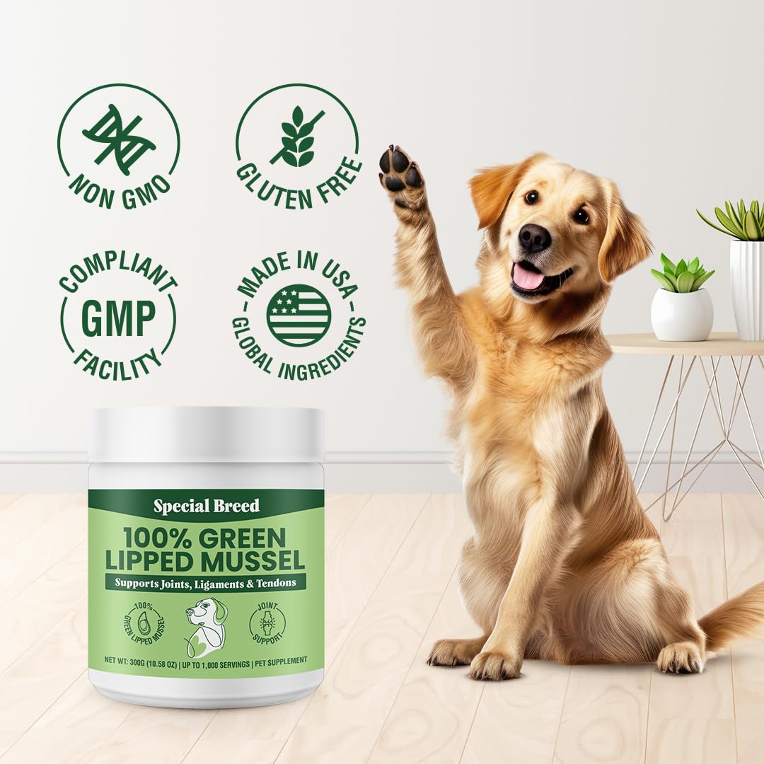 Special Breed Green Lipped Mussels for Dogs & Cats - Premium Joint Supplement Powder for HIPS, Joints, and Muscles (300 Grams, Up to 1,000 Servings)