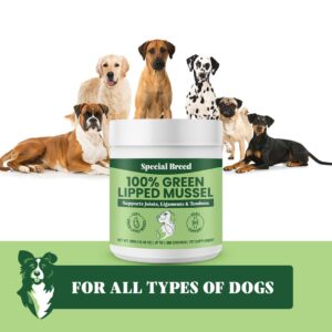 Special Breed Green Lipped Mussels for Dogs & Cats - Premium Joint Supplement Powder for HIPS, Joints, and Muscles (300 Grams, Up to 1,000 Servings)