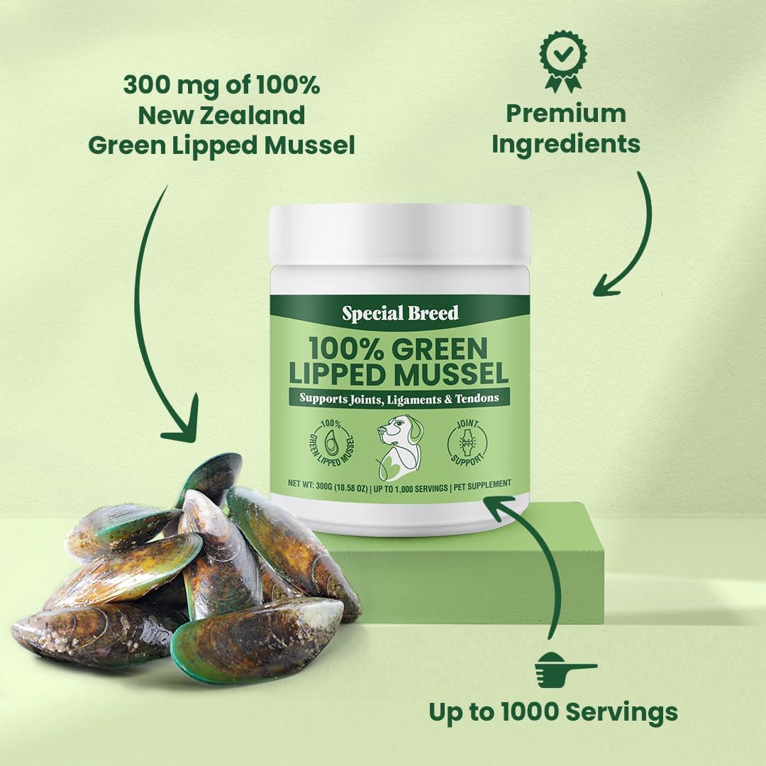 Special Breed Green Lipped Mussels for Dogs & Cats - Premium Joint Supplement Powder for HIPS, Joints, and Muscles (300 Grams, Up to 1,000 Servings)